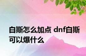 白斯怎么加点 dnf白斯可以爆什么