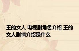 王的女人 电视剧角色介绍 王的女人剧情介绍是什么