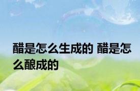 醋是怎么生成的 醋是怎么酿成的