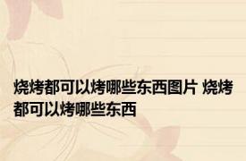 烧烤都可以烤哪些东西图片 烧烤都可以烤哪些东西