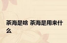 茶海是啥 茶海是用来什么