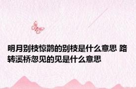 明月别枝惊鹊的别枝是什么意思 路转溪桥忽见的见是什么意思 