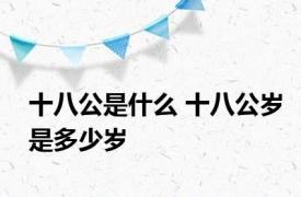 十八公是什么 十八公岁是多少岁