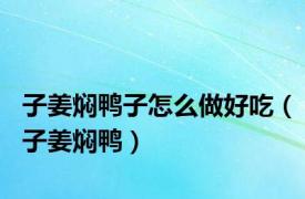 子姜焖鸭子怎么做好吃（子姜焖鸭）