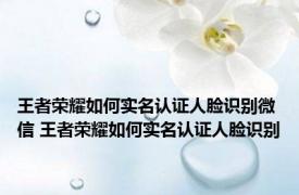 王者荣耀如何实名认证人脸识别微信 王者荣耀如何实名认证人脸识别
