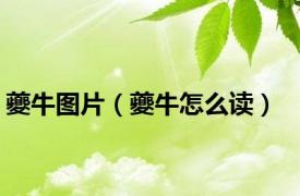 夔牛图片（夔牛怎么读）