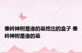 秦岭神树是谁的墓挖出的盒子 秦岭神树是谁的墓