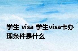 学生 visa 学生visa卡办理条件是什么