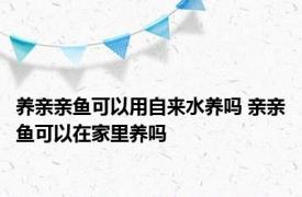 养亲亲鱼可以用自来水养吗 亲亲鱼可以在家里养吗