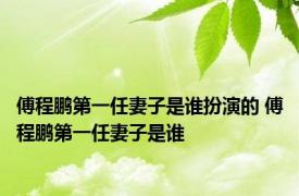 傅程鹏第一任妻子是谁扮演的 傅程鹏第一任妻子是谁