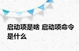 启动项是啥 启动项命令是什么