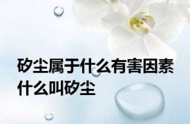 矽尘属于什么有害因素 什么叫矽尘