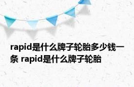 rapid是什么牌子轮胎多少钱一条 rapid是什么牌子轮胎