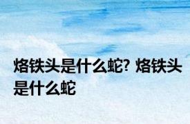 烙铁头是什么蛇? 烙铁头是什么蛇