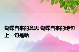 蝴蝶自来的意思 蝴蝶自来的诗句上一句是啥