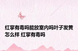 红掌有毒吗能放室内吗叶子发黄怎么样 红掌有毒吗