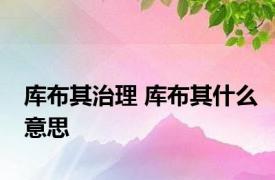 库布其治理 库布其什么意思