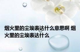烟火里的尘埃表达什么意思啊 烟火里的尘埃表达什么