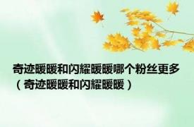 奇迹暖暖和闪耀暖暖哪个粉丝更多（奇迹暖暖和闪耀暖暖）