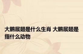 大鹏展翅是什么生肖 大鹏展翅是指什么动物
