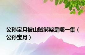 公孙宝月被山贼绑架是哪一集（公孙宝月）