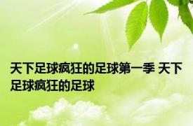天下足球疯狂的足球第一季 天下足球疯狂的足球 