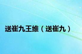 送崔九王维（送崔九）
