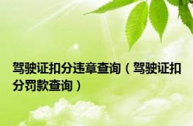 驾驶证扣分违章查询（驾驶证扣分罚款查询）