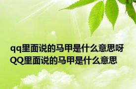 qq里面说的马甲是什么意思呀 QQ里面说的马甲是什么意思