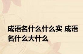 成语名什么什么实 成语名什么大什么
