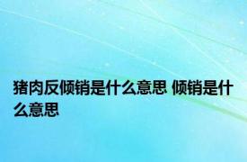 猪肉反倾销是什么意思 倾销是什么意思
