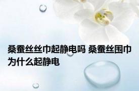 桑蚕丝丝巾起静电吗 桑蚕丝围巾为什么起静电