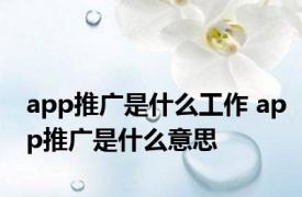 app推广是什么工作 app推广是什么意思