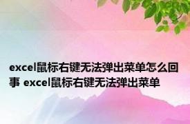 excel鼠标右键无法弹出菜单怎么回事 excel鼠标右键无法弹出菜单