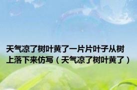 天气凉了树叶黄了一片片叶子从树上落下来仿写（天气凉了树叶黄了）
