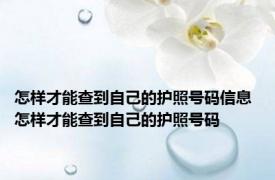 怎样才能查到自己的护照号码信息 怎样才能查到自己的护照号码