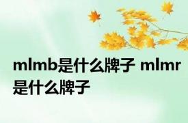 mlmb是什么牌子 mlmr是什么牌子