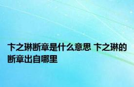 卞之琳断章是什么意思 卞之琳的断章出自哪里