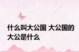 什么叫大公国 大公国的大公是什么