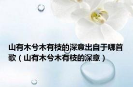 山有木兮木有枝的深意出自于哪首歌（山有木兮木有枝的深意）