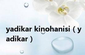yadikar kinohanisi（yadikar）