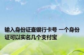 输入身份证查银行卡号 一个身份证可以实名几个支付宝