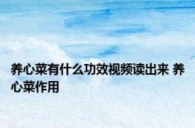 养心菜有什么功效视频读出来 养心菜作用