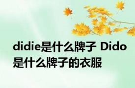 didie是什么牌子 Dido是什么牌子的衣服
