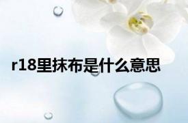 r18里抹布是什么意思