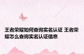 王者荣耀如何查询实名认证 王者荣耀怎么查询实名认证信息