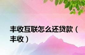 丰收互联怎么还贷款（丰收）