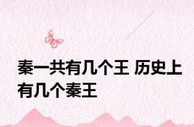 秦一共有几个王 历史上有几个秦王