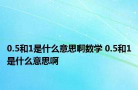 0.5和1是什么意思啊数学 0.5和1是什么意思啊
