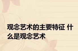 观念艺术的主要特征 什么是观念艺术